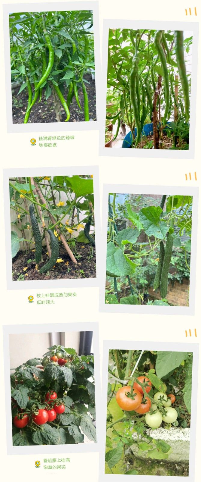 朝陽(yáng)農藝師系列活動(dòng) 
