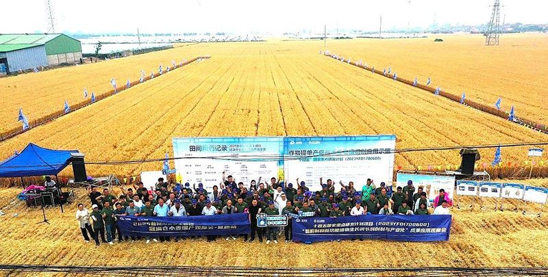 生物技術(shù)助力糧食單產(chǎn)顯著(zhù)提升-“十四五”國家重點(diǎn)研發(fā)計劃成果應用觀(guān)摩會(huì )圓滿(mǎn)落幕