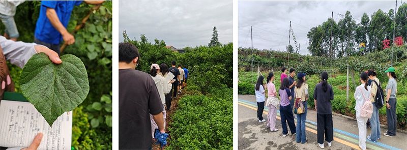 首個(gè)！中國農業(yè)大學(xué)攜手新朝陽(yáng)啟動(dòng)“朝陽(yáng)稼穡計劃”