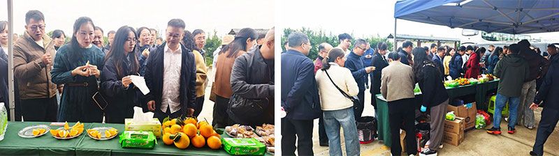 新朝陽(yáng)生物技術(shù)助力綠色防控，推動(dòng)柑橘產(chǎn)業(yè)綠色高質(zhì)量發(fā)展